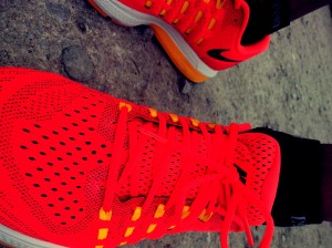 IMG_20160514_085004_edit_edit